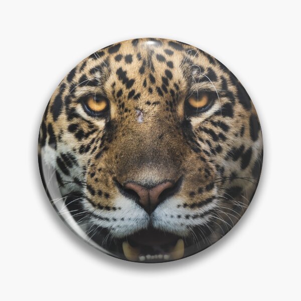 Item preview, Portrait of a Jaguar in Asia designed and sold by Konstantin Kowarsch.