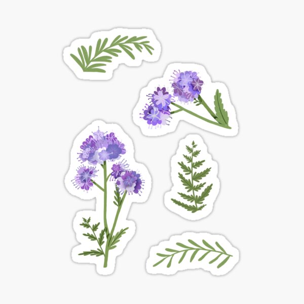 Lavender and Citrine Sticker for Sale by Aspen Workman