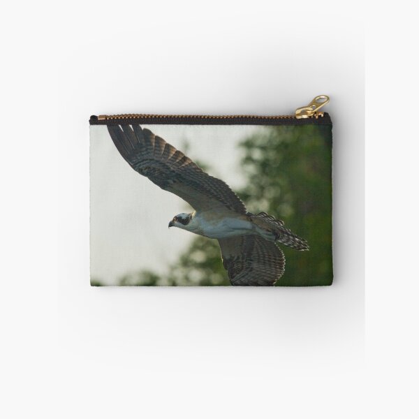 Item preview, Early Morning Flight designed and sold by Karen  Moore.