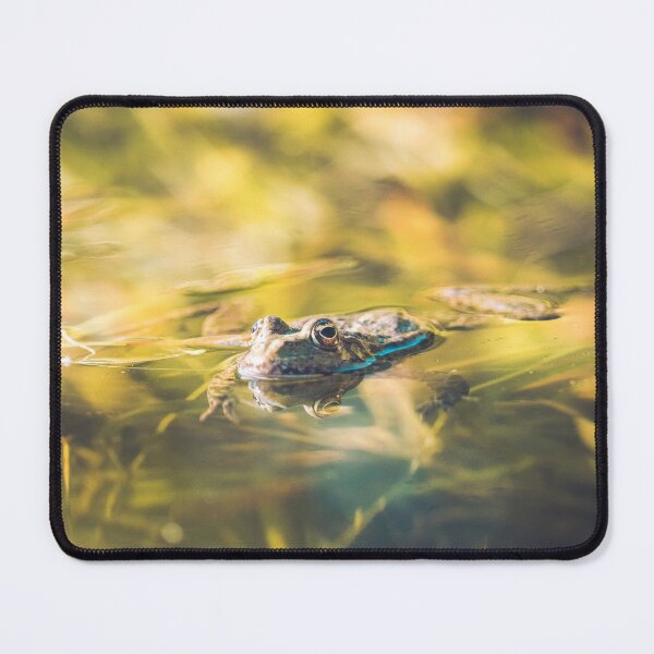 Item preview, Frog in a swamp  designed and sold by Konstantin Kowarsch.