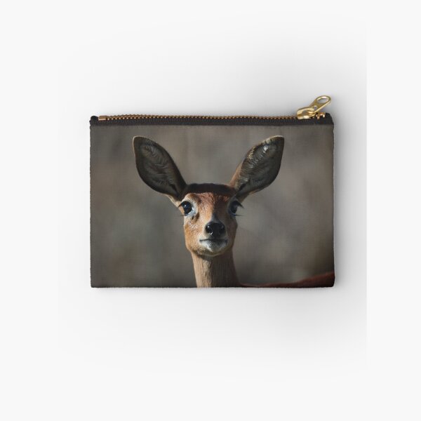 Item preview, Morning Buck - Langebaan designed and sold by Nick Bradshaw.