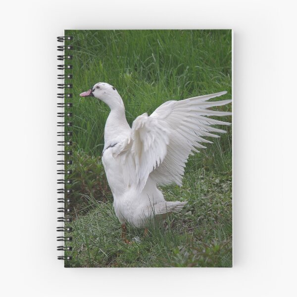 Item preview, In A Flap designed and sold by lezvee.