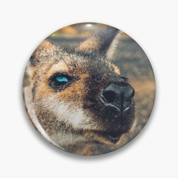 Item preview, Cute Kangaroo seeking for Attention designed and sold by Konstantin Kowarsch.