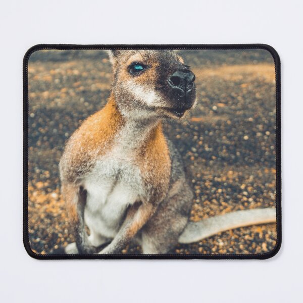 Item preview, Cute Kangaroo seeking for Attention designed and sold by Konstantin Kowarsch.