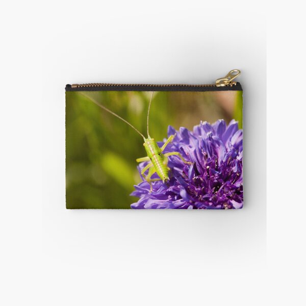Item preview, Cornflower, Grasshopper  designed and sold by Skye Hohmann.