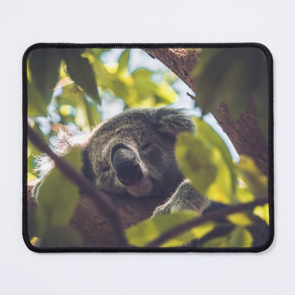 Item preview, Koala Bear Sleeping in the trees designed and sold by Konstantin Kowarsch.