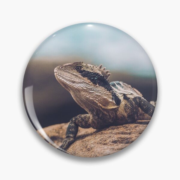 Item preview, Bearded Waterdragon at coast designed and sold by Konstantin Kowarsch.