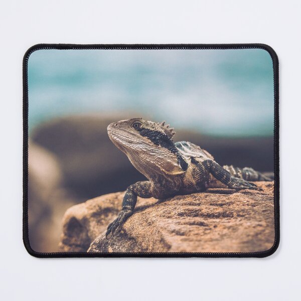 Item preview, Bearded Waterdragon at coast designed and sold by Konstantin Kowarsch.