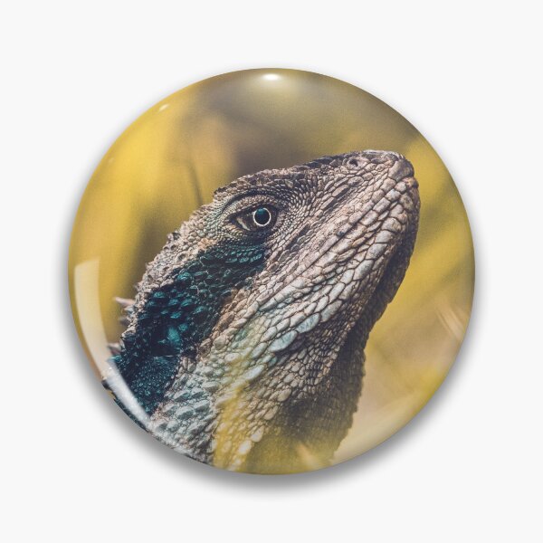 Item preview, Bearded Waterdragon in grass designed and sold by Konstantin Kowarsch.