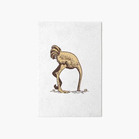 Fred the ostrich Art Board Print for Sale by Cloebeth73