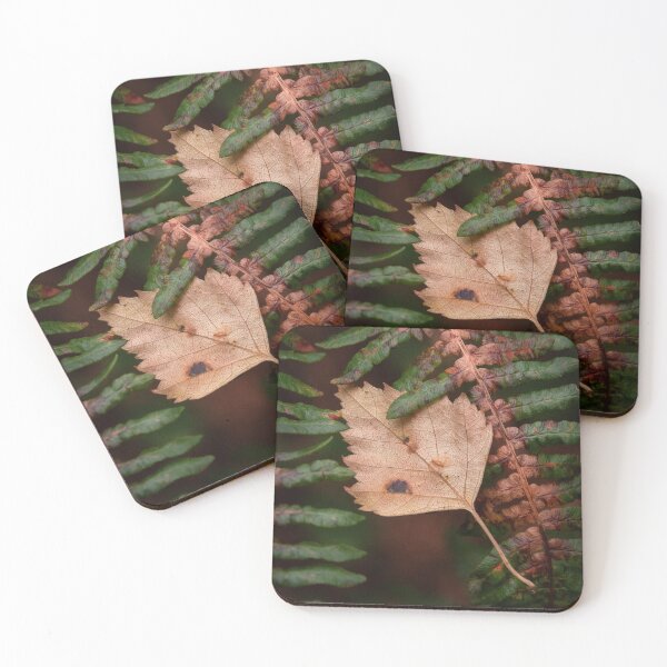 Item preview, Trapped Birch in Autumn designed and sold by neonlightphoto.