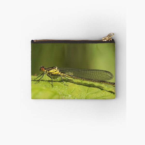 Item preview, Female Red-Eyed Damselfly designed and sold by Robert Abraham.