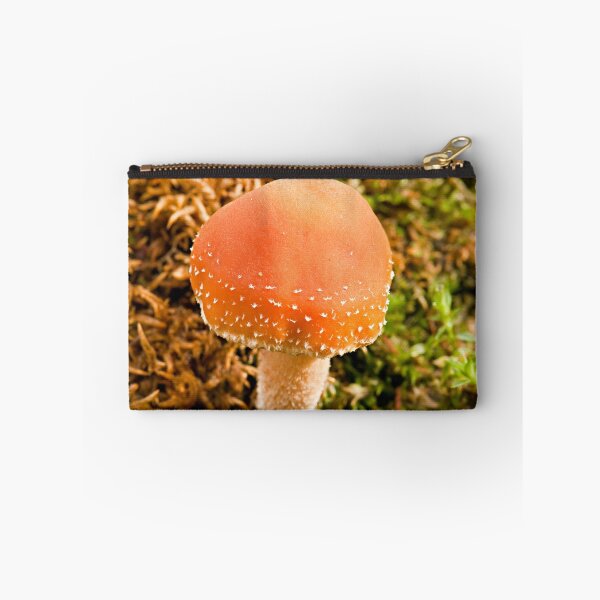Item preview, Fine specimen designed and sold by traveller.