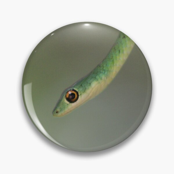 Item preview, Slither designed and sold by CPics.