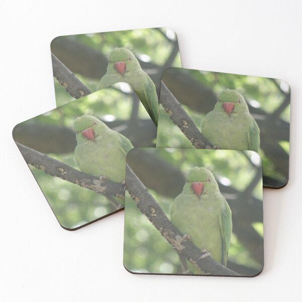 Item preview, Perching Ring Necked Parakeet Photograph designed and sold by naturegallery.