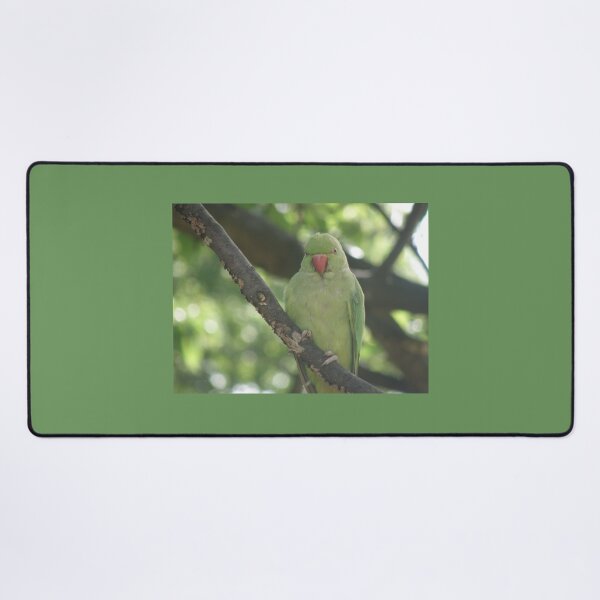 Item preview, Perching Ring Necked Parakeet Photograph designed and sold by naturegallery.