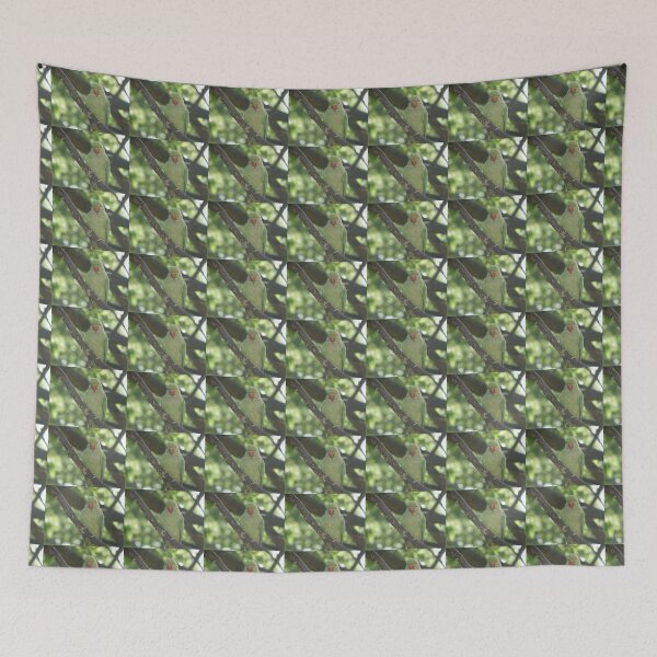 Item preview, Perching Ring Necked Parakeet Photograph designed and sold by naturegallery.