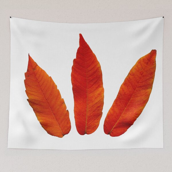 Item preview, Sumac Autumn Leaves designed and sold by Asaha17.