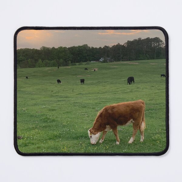 Item preview, Feeding time designed and sold by tripleRfarms.