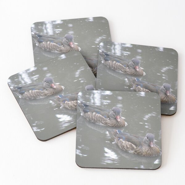 Item preview, Male Mandarin Ducks in Eclipse Photograph designed and sold by naturegallery.