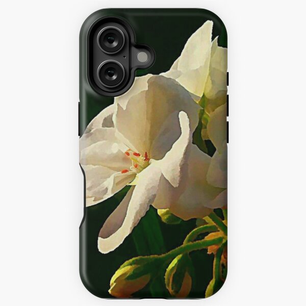 Item preview, Admiration designed and sold by Fancieplants.
