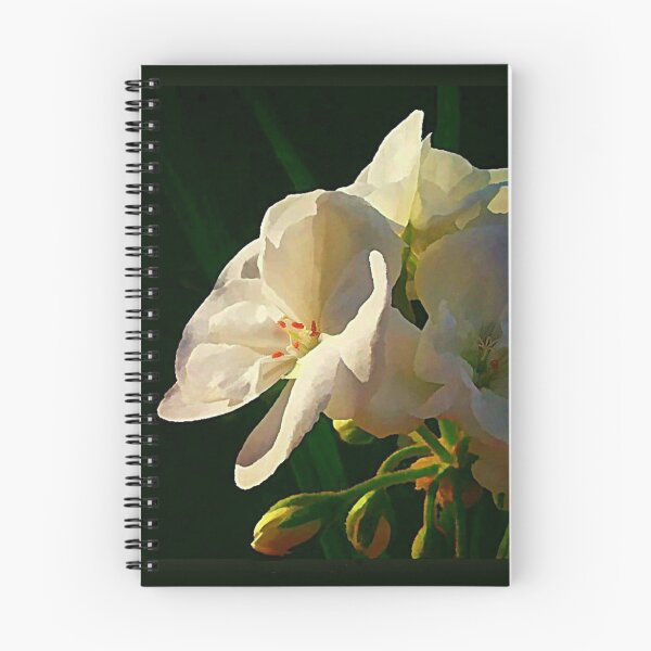 Item preview, Admiration designed and sold by Fancieplants.