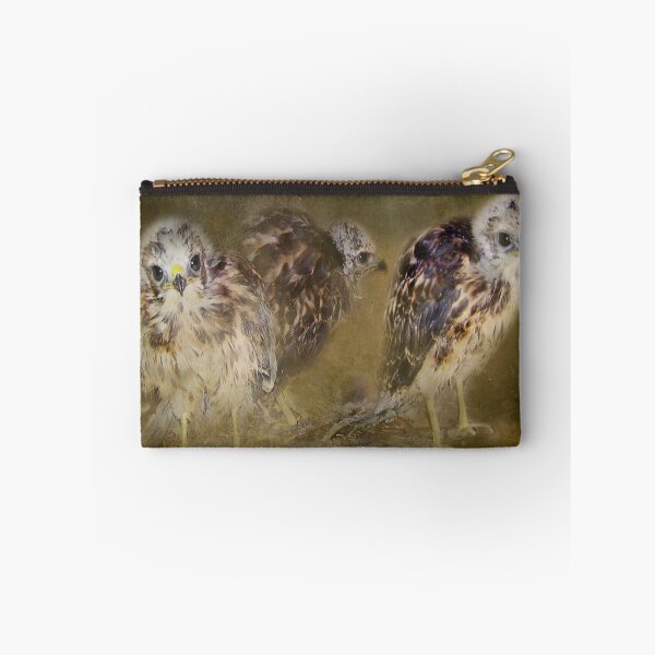 Item preview, Redtail Hawk Babies designed and sold by kayzsqrlz.