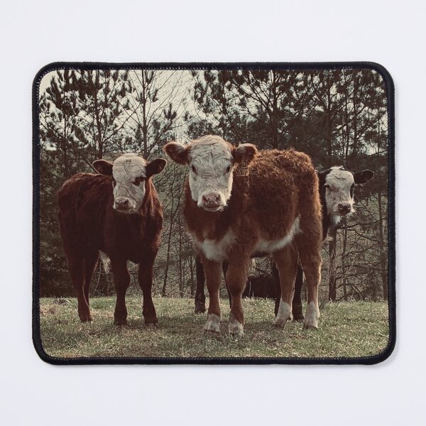 Item preview, Red beauties designed and sold by tripleRfarms.