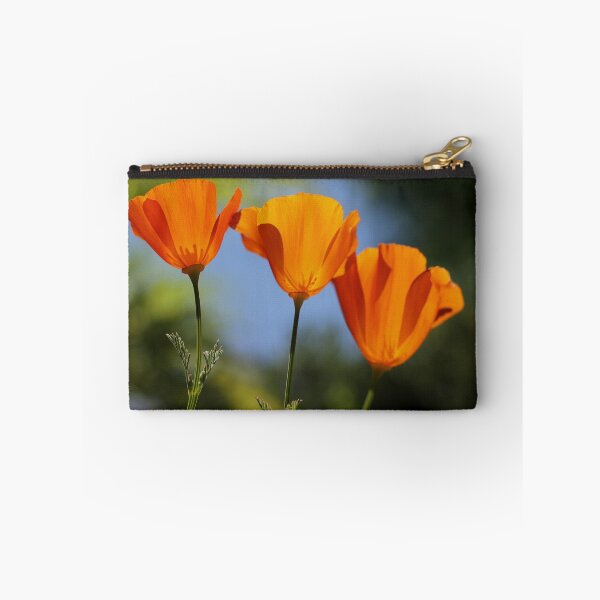 Item preview, Transparent designed and sold by Leasha Hooker.
