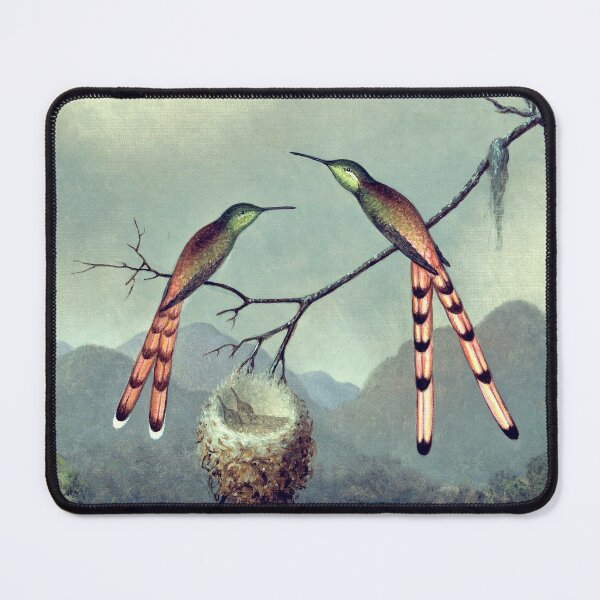 Hummingbirds at the nest with chicks Mouse Pad