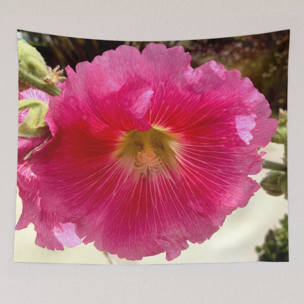 Item preview, Hollyhock from A Gardener's Notebook designed and sold by Douglas E. Welch Design and Photography.