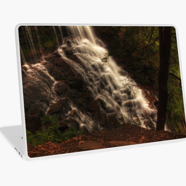Ganoga Falls, looking downward Laptop Skin