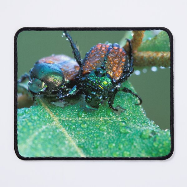 Item preview, The Beetles designed and sold by Bill Spengler's Photographic Thoughts.