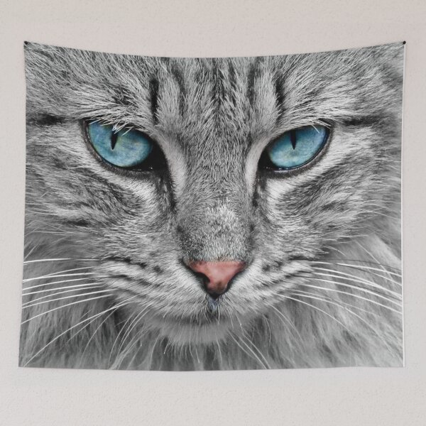 Item preview, cute blue eyed cat designed and sold by firminoo.