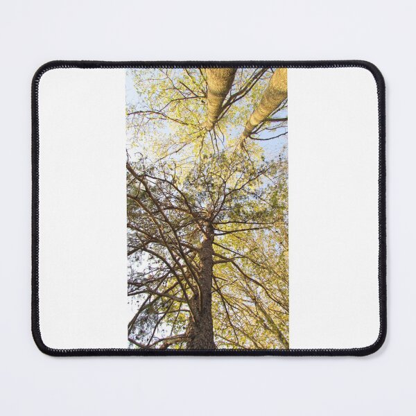 Item preview, Trees Galore designed and sold by RisesTheM00n.