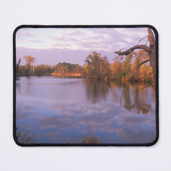 Item preview, Autumn on McNally designed and sold by Bill Spengler's Photographic Thoughts.