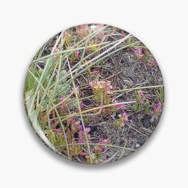 Item preview, Cape natural plantlife - fynbos designed and sold by craftyterese.