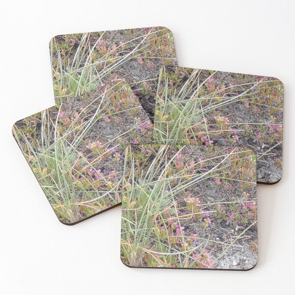 Item preview, Cape natural plantlife - fynbos designed and sold by craftyterese.