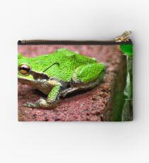 Kermit Studio Pouch