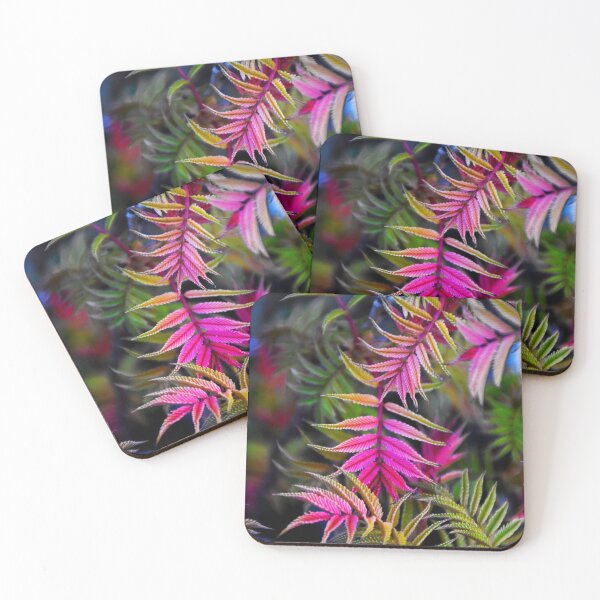 Item preview, Multi-colored plant | Nature photography designed and sold by Mii-pics.