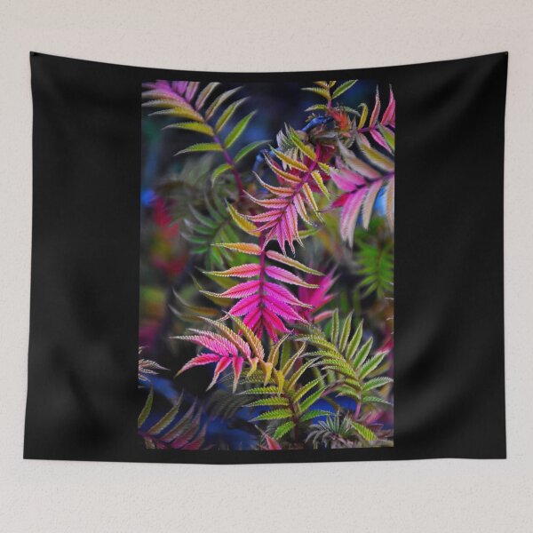 Item preview, Multi-colored plant | Nature photography designed and sold by Mii-pics.
