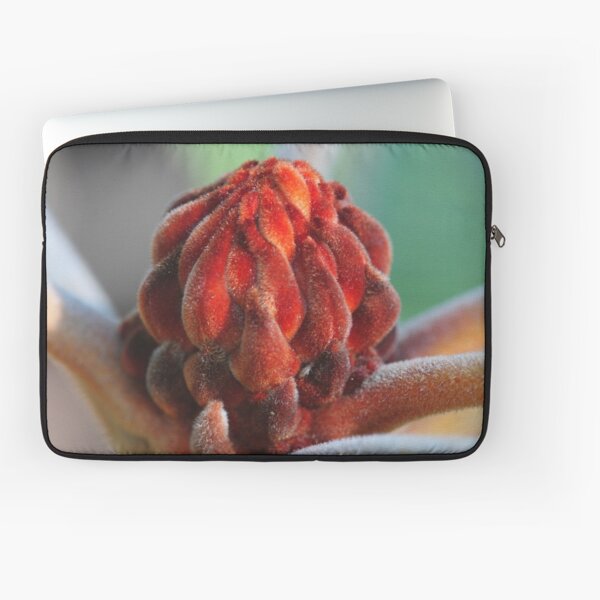 Banksia Robur Laptop Sleeve