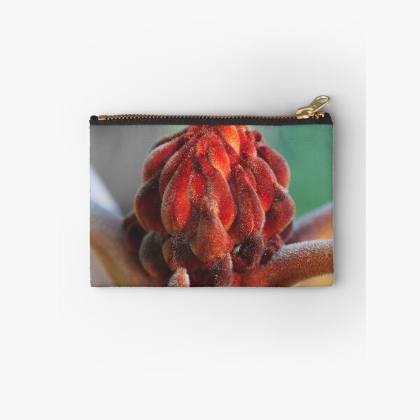 Item preview, Banksia Robur designed and sold by andrachne.