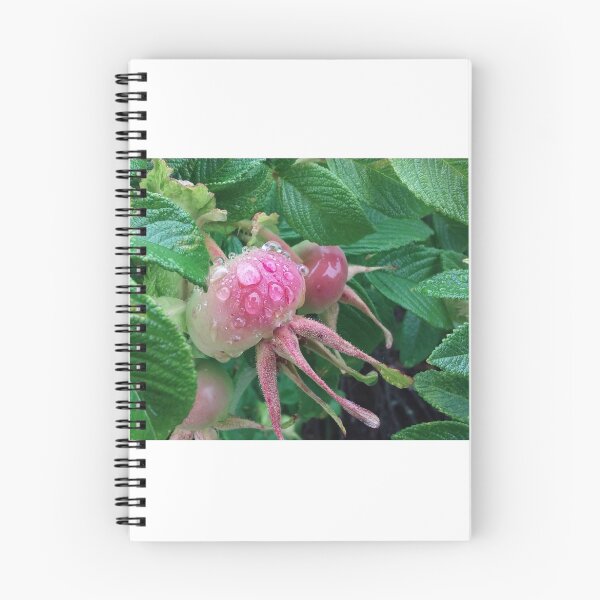 Item preview, Beach Rose Hips in Rain designed and sold by SusanSeamaiden.