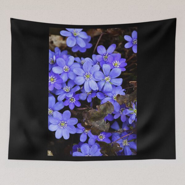 Item preview, blue flowers | Nature photography designed and sold by Mii-pics.