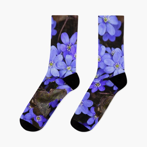Item preview, blue flowers | Nature photography designed and sold by Mii-pics.