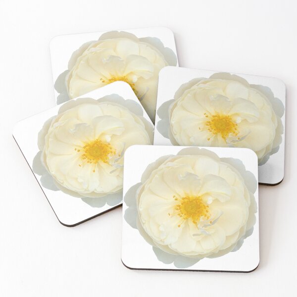 Item preview, Cream Rose Flower Still Life Floral Photography designed and sold by CottoVerdi.