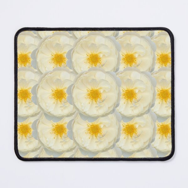 Item preview, Cream Rose Flower Still Life Floral Photography designed and sold by CottoVerdi.