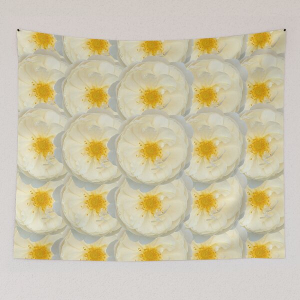 Item preview, Cream Rose Flower Still Life Floral Photography designed and sold by CottoVerdi.