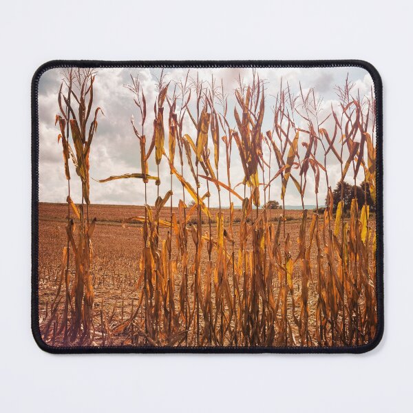 Item preview, Harvest Survivors designed and sold by Jim Love.